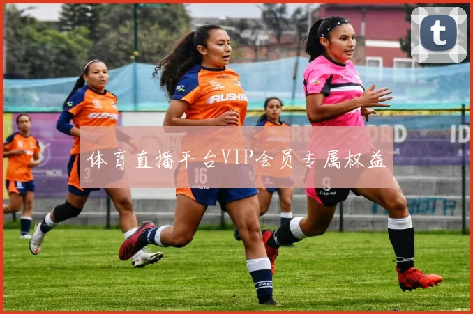 体育直播平台VIP会员专属权益
