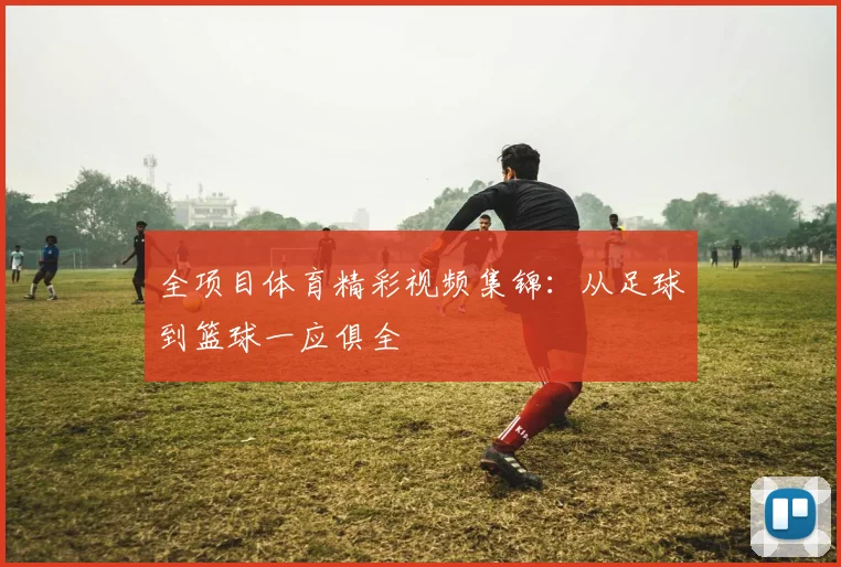全项目体育精彩视频集锦:从足球到篮球一应俱全