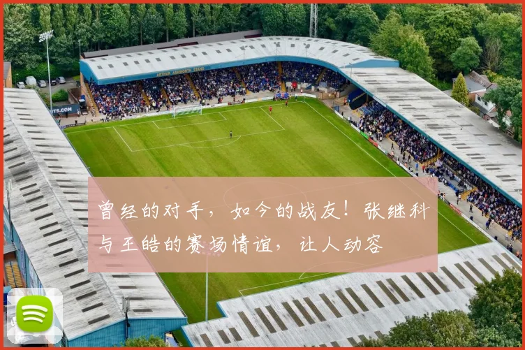 曾经的对手，如今的战友！张继科与王皓的赛场情谊，让人动容