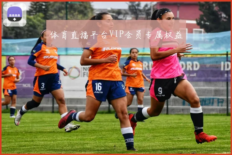 体育直播平台VIP会员专属权益