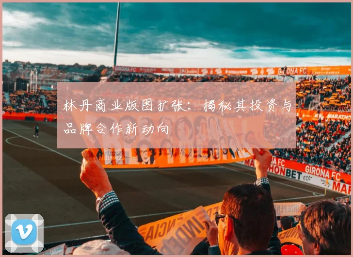 林丹商业版图扩张:揭秘其投资与品牌合作新动向