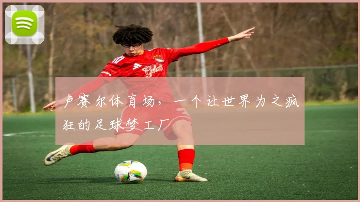 卢赛尔体育场，一个让世界为之疯狂的足球梦工厂