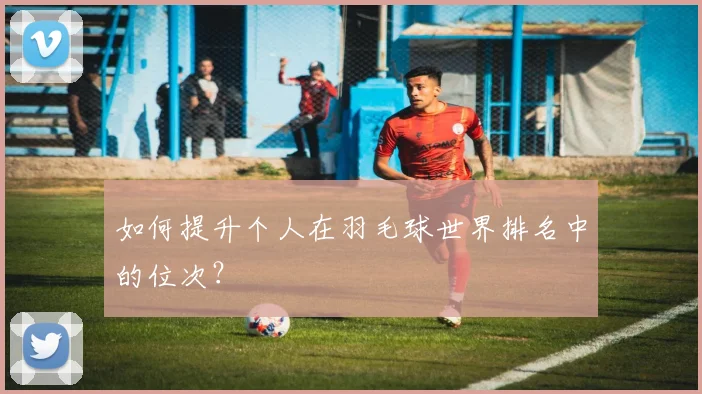 如何提升个人在羽毛球世界排名中的位次?