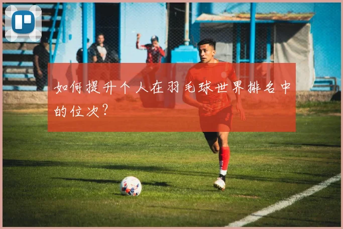 如何提升个人在羽毛球世界排名中的位次？